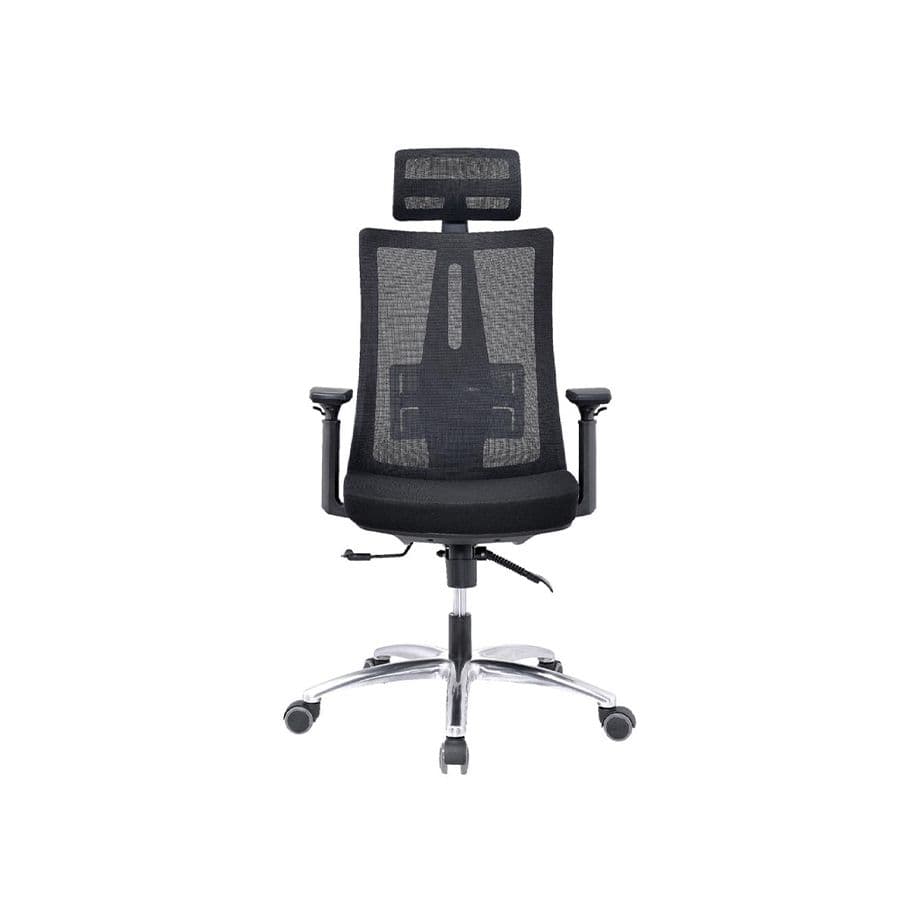 Ergonomic Office Chair Anya